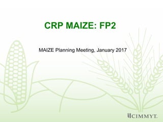 CRP MAIZE: FP2
MAIZE Planning Meeting, January 2017
 