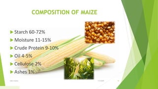 COMPOSITION OF MAIZE
 Starch 60-72%
 Moisture 11-15%
 Crude Protein 9-10%
 Oil 4-5%
 Cellulose 2%
 Ashes 1%
1/5/2020Add a footer 19
 