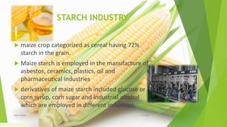 STARCH INDUSTRY
 maize crop categorized as cereal having 72%
starch in the grain.
 Maize starch is employed in the manufacture of
asbestos, ceramics, plastics, oil and
pharmaceutical industries
 derivatives of maize starch included glucose or
corn syrup, corn sugar and industrial alcohol
which are employed in different industries.
1/5/2020Add a footer 25
 