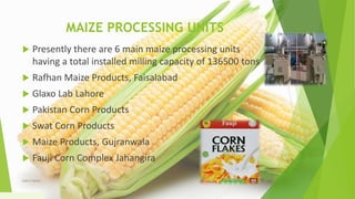 MAIZE PROCESSING UNITS
 Presently there are 6 main maize processing units
having a total installed milling capacity of 136500 tons
 Rafhan Maize Products, Faisalabad
 Glaxo Lab Lahore
 Pakistan Corn Products
 Swat Corn Products
 Maize Products, Gujranwala
 Fauji Corn Complex Jahangira
1/5/2020Add a footer 27
 