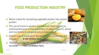 FEED PRODUCTION INDUSTRY
 Maize is best for converting vegetable protein into animal
protein
 The use of maize in poultry and livestock feed industry is
restricted because of the availability of other cereal i.e. wheat
and rice (broken) comparatively at lower prices
 Present use of maize grain for poultry feed production per
annum: 0.450 Million Tons
 Possible demand for maize grain (if use of wheat and rice
banned): 0.8-1.0 Million Tons
1/5/2020Addfooter 42
 