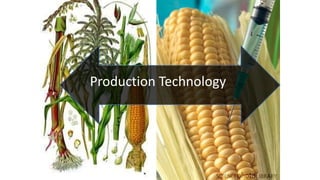Production Technology
 