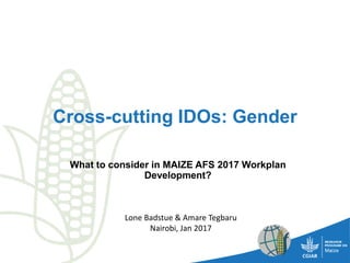 Cross-cutting IDOs: Gender
What to consider in MAIZE AFS 2017 Workplan
Development?
Lone Badstue & Amare Tegbaru
Nairobi, Jan 2017
 