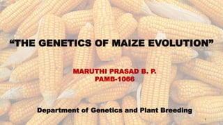 “THE GENETICS OF MAIZE EVOLUTION”
MARUTHI PRASAD B. P.
PAMB-1066
Department of Genetics and Plant Breeding
1
 