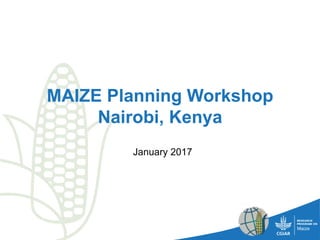MAIZE Planning Workshop
Nairobi, Kenya
January 2017
 