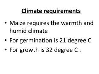 Climate requirements
• Maize requires the warmth and
humid climate
• For germination is 21 degree C
• For growth is 32 degree C .
 