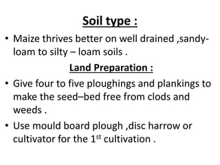 Soil type :
• Maize thrives better on well drained ,sandy-
loam to silty – loam soils .
Land Preparation :
• Give four to five ploughings and plankings to
make the seed–bed free from clods and
weeds .
• Use mould board plough ,disc harrow or
cultivator for the 1st cultivation .
 