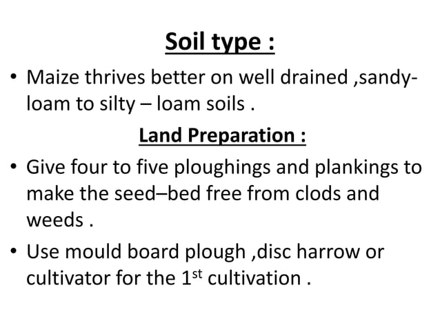 maize-ppt-ppt