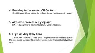 4. Breeding for Increased Oil Content
12–15% in germ.(By increasing the embryo size we can increase oil content.)
5. Alternate Sources of Cytoplasm
CMS - T. susceptible to Helminthosporium, C and S Resistant.
6. High Yielding Baby Corn
Z.mays. var. sachharata, Sweet corn. The green cobs can be eaten as salad.
The cobs can be harvested 45 days after sowing. CoBc 1 is latest variety of baby
corn.
 