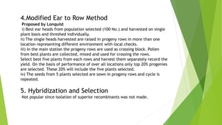 4.Modified Ear to Row Method
Proposed by Lonquist
i) Best ear heads from population selected (100 No.) and harvested on single
plant basis and threshed individually.
ii) The single heads harvested are raised in progeny rows in more than one
location representing different environment with local checks.
iii) In the main station the progeny rows are used as crossing block. Pollen
from best plants are collected, mixed and used for crossing the rows.
Select best five plants from each rows and harvest them separately record the
yield. On the basis of performance of over all locations only top 20% progenies
are selected. These 20% will include the five plants selected.
iv) The seeds from 5 plants selected are sown in progeny rows and cycle is
repeated.
5. Hybridization and Selection
Not popular since isolation of superior recombinants was not made.
 