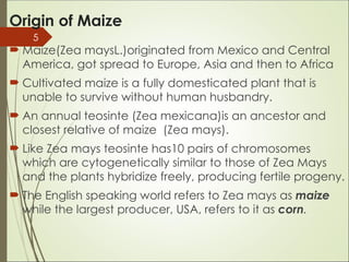 Maize Production manual-allpractices.ppt
