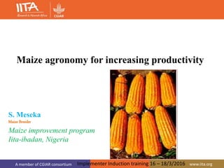 A member of CGIAR consortium www.iita.org
S. Meseka
Maize Breeder
Maize improvement program
Iita-ibadan, Nigeria
Maize agronomy for increasing productivity
Implementer Induction training 16 – 18/3/2016
 