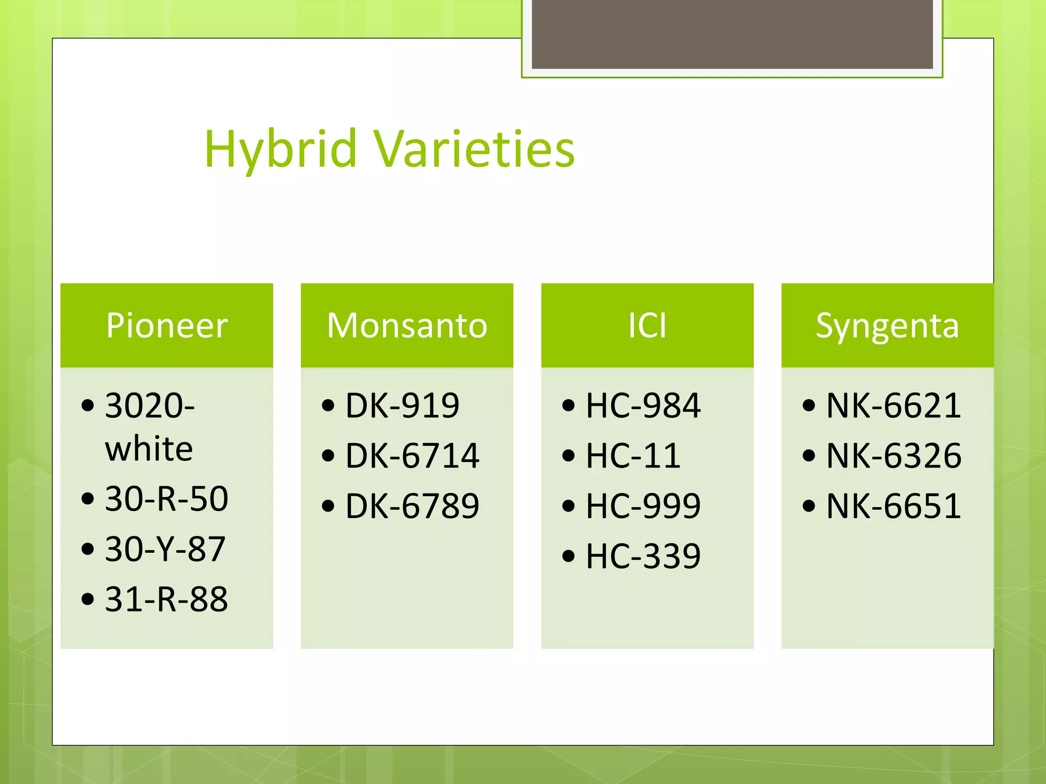 Hybrid Varieties
Pioneer
• 3020-
white
• 30-R-50
• 30-Y-87
• 31-R-88
Monsanto
• DK-919
• DK-6714
• DK-6789
ICI
• HC-984
• HC-11
• HC-999
• HC-339
Syngenta
• NK-6621
• NK-6326
• NK-6651
 