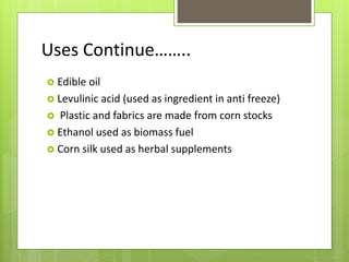Uses Continue……..
 Edible oil
 Levulinic acid (used as ingredient in anti freeze)
 Plastic and fabrics are made from corn stocks
 Ethanol used as biomass fuel
 Corn silk used as herbal supplements
 
