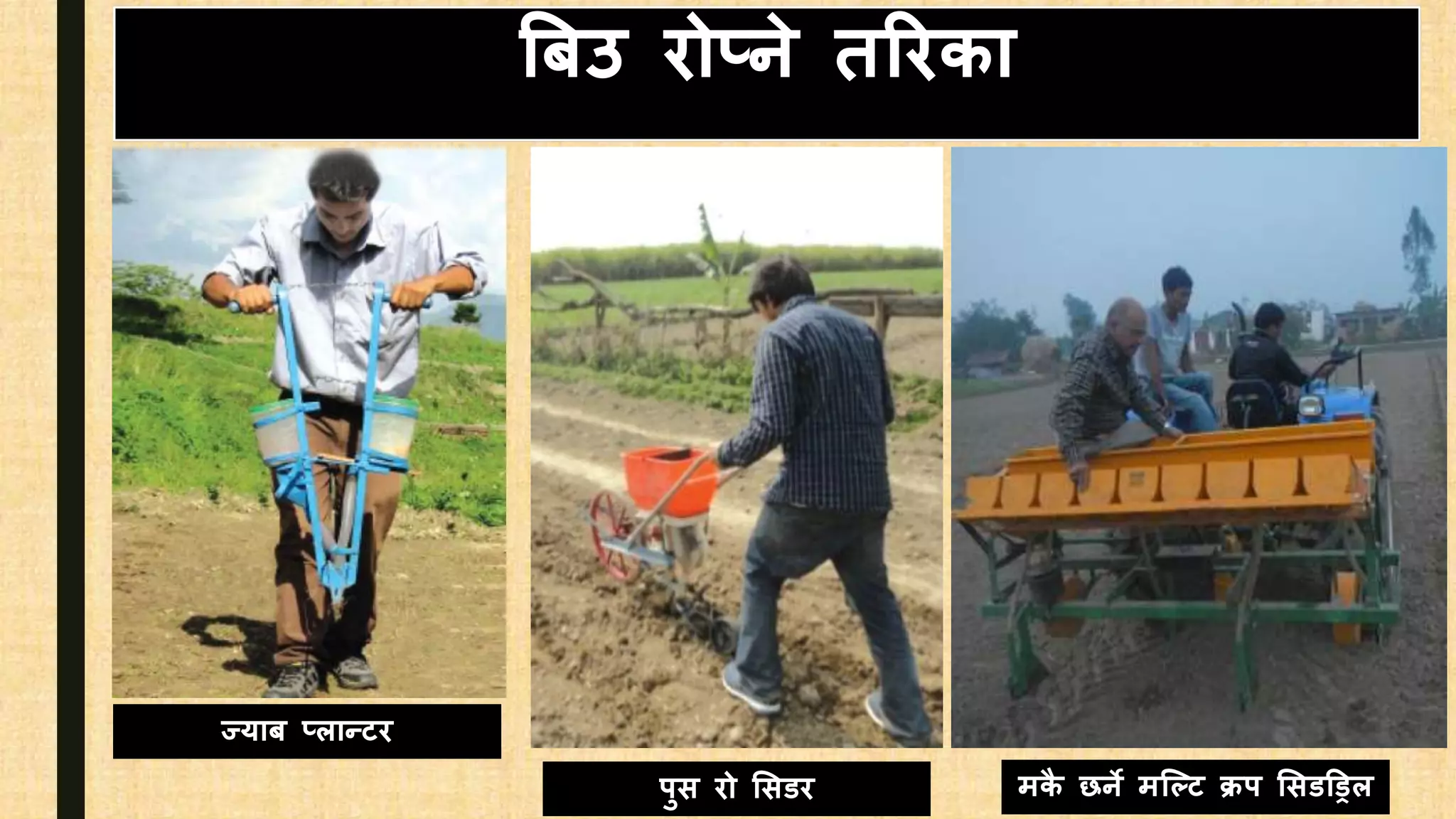 बबउ िोप्ने तरििा
ज्याब प्लान्टि
पुि िो सिडि मिै छने मजल्ट क्रप सिड्रिल
 