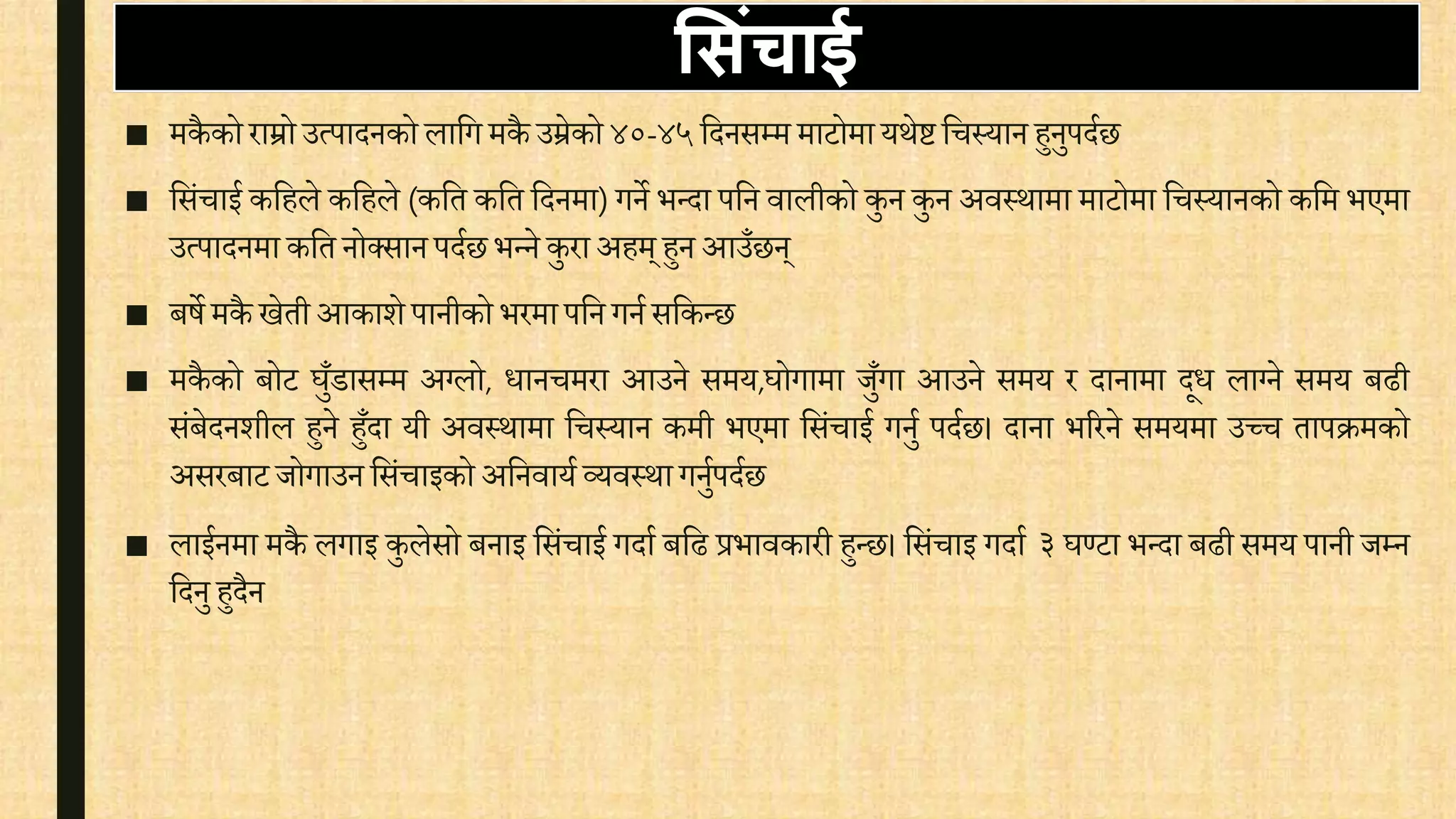 सििंचाई
■ मकै को राम्रोउत्पादनको लावग मकै उम्रेको ४०-४५वदनसम्म माटोमा यथेि विस्यान हुनुपदिछ
■ वसंिाई कवहले कवहले (कवत कवत वदनमा) गने भन्दा पवन िालीको कु न कुन अिस्थामा माटोमा विस्यानको कवम भएमा
उत्पादनमा कवत नोक्सान पदिछ भन्ने कुरा अहम्हुन आउँछन्
■ बषे मकै खेती आकाशे पानीको भरमा पवन गनि सवकन्छ
■ मकै को बोट घुँडासम्म अग्लो, िानिमरा आउने समय,घोगामा जुँगा आउने समय र दानामा दूि लाग्ने समय बढी
संबेदनशील हुने हुँदा यी अिस्थामा विस्यान कमी भएमा वसंिाई गनुि पदिछ। दाना भररने समयमा उच्ि तापक्रमको
असरबाट जोगाउन वसंिाइको अवनिायि व्यिस्था गनुिपदिछ
■ लाईनमा मकै लगाइ कुलेसो बनाइ वसंिाई गदाि बवढ प्रभािकारी हुन्छ। वसंिाइ गदाि ३ घण्टा भन्दा बढी समय पानी जम्न
वदनु हुदैन
 