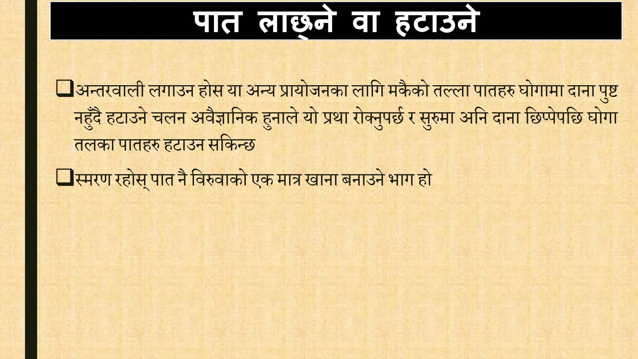पात लाछ्ने वा हटाउने
अन्तरिाली लगाउन होस या अन्य प्रायोजनका लावग मकैको तल्ला पातहरु घोगामा दाना पुि
नहुँदै हटाउने िलन अिैज्ञावनक हुनाले यो प्रथा रोक्नुपछि र सुरुमा अवन दाना वछप्पेपवछ घोगा
तलकापातहरु हटाउनसवकन्छ
स्मरर् रहोस्पातनै विरुिाको एक मात्र खानाबनाउने भागहो
 