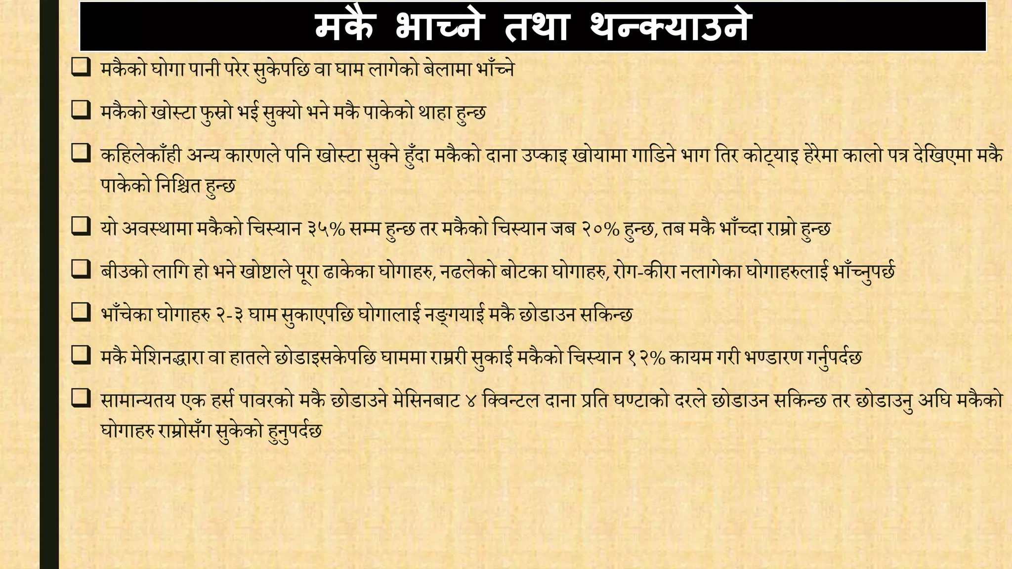मिै भाच्ने तथा थन्क्याउने
 मकैको घोगा पानी परेर सुके पवछ िा घाम लागेको बेलामा भाँच्ने
 मकैको खोस्टाफुस्रो भई सुक्यो भने मकै पाकेको थाहा हुन्छ
 कवहलेकाँही अन्य कारर्ले पवन खोस्टा सुक्ने हुँदा मकैको दाना उप्काइ खोयामा गावडने भाग वतर कोट्याइ हेरेमा कालो पत्र देवखएमा मकै
पाकेको वनवित हुन्छ
 यो अिस्थामामकैको विस्यान ३५% सम्म हुन्छ तर मकैको विस्यान जब २०% हुन्छ, तब मकै भाँच्दा राम्रोहुन्छ
 बीउको लावग हो भने खोिाले पूरा ढाकेका घोगाहरु, नढलेको बोटका घोगाहरु, रोग-कीरा नलागेका घोगाहरुलाई भाँच्नुपछि
 भाँिेका घोगाहरु २-३ घामसुकाएपवछ घोगालाई नङ्गयाई मकै छोडाउन सवकन्छ
 मकै मेवशनिारािा हातले छोडाइसकेपवछ घाममाराम्ररी सुकाई मकैको विस्यान १२% कायम गरी भण्डारर् गनुिपदिछ
 सामान्यतय एक हसि पािरको मकै छोडाउने मेवसनबाट ४ वक्िन्टल दाना प्रवत घण्टाको दरले छोडाउन सवकन्छ तर छोडाउनु अवघ मकैको
घोगाहरु राम्रोसँग सुके को हुनुपदिछ
 