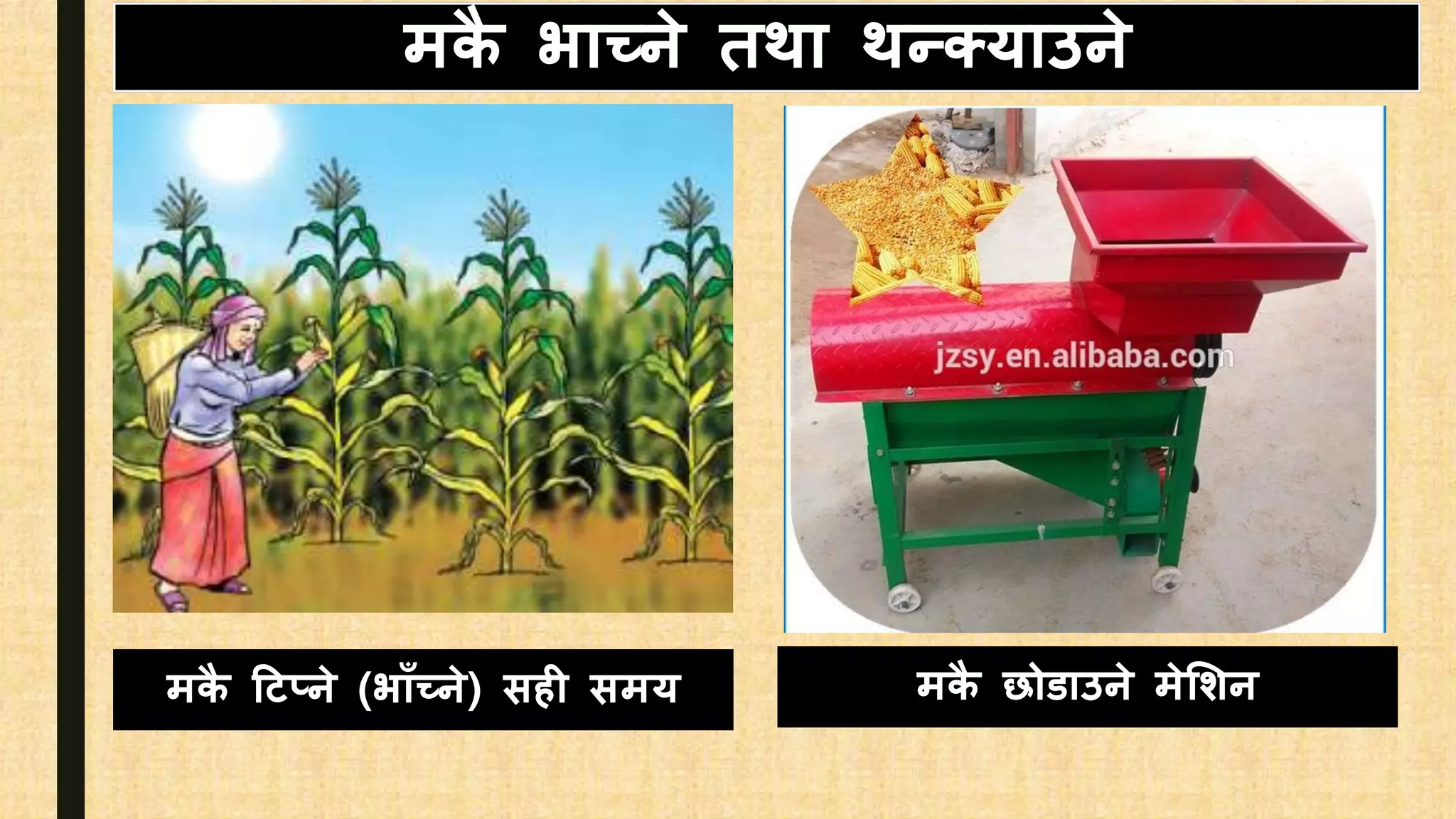 मिै भाच्ने तथा थन्क्याउने
मिै हटप्ने (भााँच्ने) िही िमय मिै छोडाउने मेसशन
 