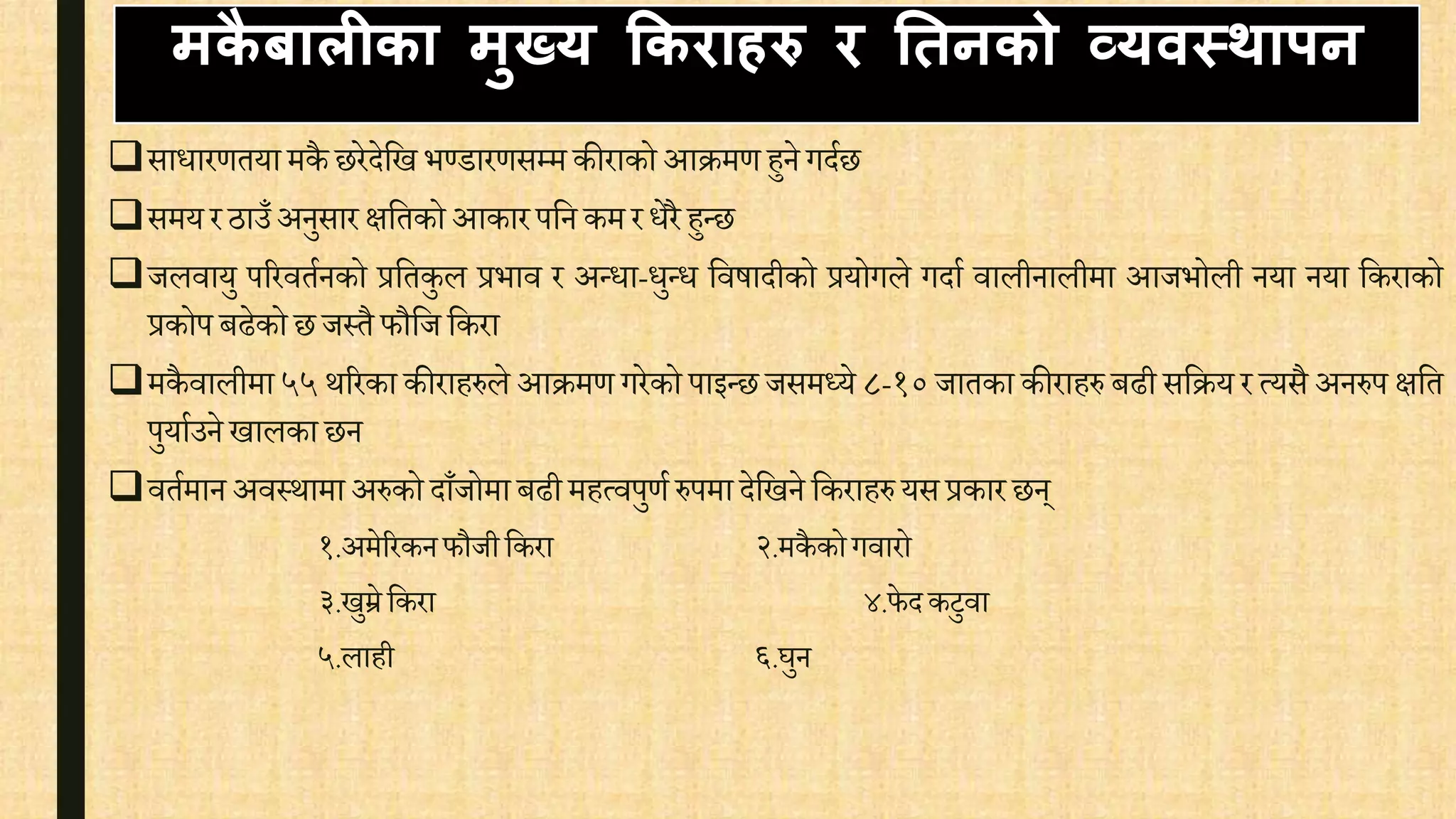 मिै बालीिा मुख्य कििाहरु ि ततनिो व्यवस्थापन
सािारर्तया मकै छरेदेवख भण्डारर्सम्म कीराको आक्रमर् हुने गदिछ
समय र ठाउँ अनुसार क्षवतको आकारपवन कम र िेरै हुन्छ
जलिायु पररितिनको प्रवतकुल प्रभाि र अन्िा-िुन्ि विषादीको प्रयोगले गदाि िालीनालीमा आजभोली नया नया वकराको
प्रकोप बढेको छ जस्तै फौवज वकरा
मकै िालीमा ५५ थररका कीराहरुले आक्रमर् गरेको पाइन्छ जसमध्ये ८-१० जातका कीराहरु बढी सवक्रय र त्यसै अनरुप क्षवत
पुयािउने खालका छन
ितिमान अिस्थामा अरुको दाँजोमा बढी महत्िपुर्ि रुपमा देवखने वकराहरु यसप्रकार छन्
१.अमेररकनफौजीवकरा २.मकै कोगिारो
३.खुम्रेवकरा ४.फे दकटुिा
५.लाही ६.घुन
 