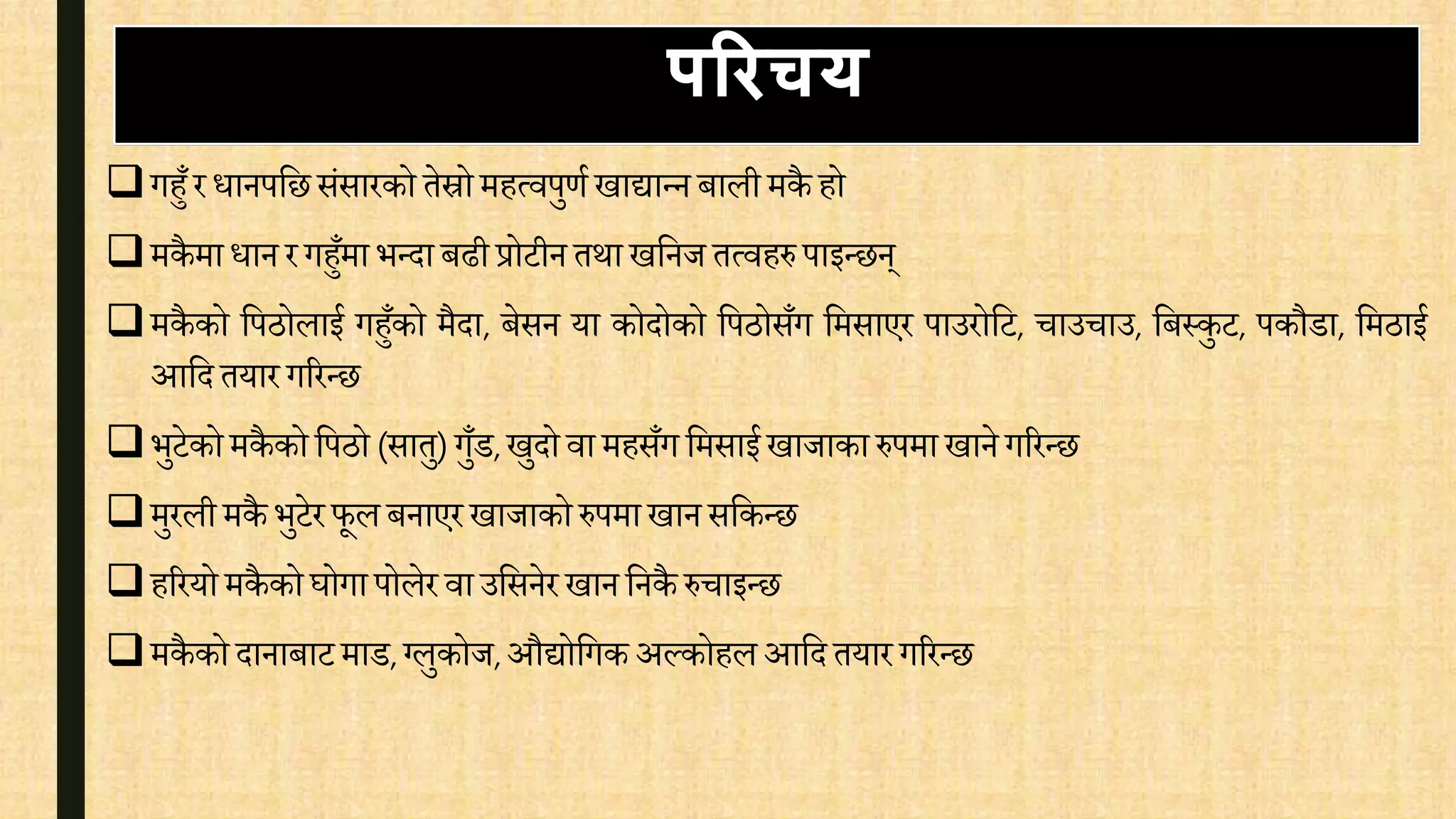 गहुँर िानपवछसंसारको तेस्रोमहत्िपुर्ि खाद्यान्न बाली मकै हो
मकै मा िान रगहुँमा भन्दा बढीप्रोटीन तथा खवनज तत्िहरु पाइन्छन्
मकै को वपठोलाई गहुँको मैदा, बेसन या कोदोको वपठोसँग वमसाएर पाउरोवट, िाउिाउ, वबस्कुट, पकौडा, वमठाई
आवद तयार गररन्छ
भुटेकोमकै को वपठो (सातु) गुँड,खुदोिा महसँग वमसाई खाजाका रुपमा खानेगररन्छ
मुरली मकै भुटेरफूलबनाएर खाजाको रुपमा खान सवकन्छ
हररयो मकै को घोगा पोलेर िा उवसनेर खानवनकै रुिाइन्छ
मकै को दानाबाट माड, ग्लुकोज,औद्योवगक अल्कोहलआवदतयार गररन्छ
परिचय
 