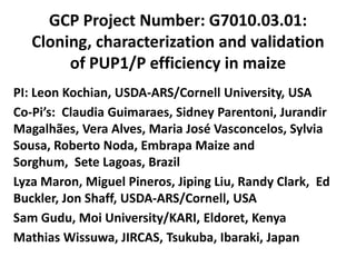 GCP Project Number: G7010.03.01:
Cloning, characterization and validation
of PUP1/P efficiency in maize
PI: Leon Kochian, ...