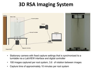 3D RSA Imaging System
• Stationary camera with fixed capture settings that is synchronized to a
turntable via a LabVIEW interface and digital controller
• 100 images captured per root system, 3.6° of rotation between images
• Capture time of approximately 10 minutes per root system
 