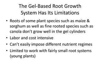 The Gel-Based Root Growth
System Has Its Limitations
• Roots of some plant species such as maize &
sorghum as well as fine rooted species such as
canola don’t grow well in the gel cylinders
• Labor and cost intensive
• Can’t easily impose different nutrient regimes
• Limited to work with fairly small root systems
(young plants)
 