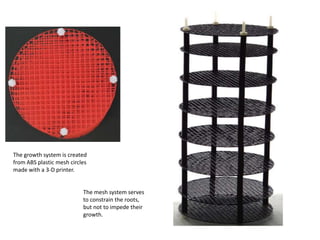 The growth system is created
from ABS plastic mesh circles
made with a 3-D printer.
The mesh system serves
to constrain the roots,
but not to impede their
growth.
 