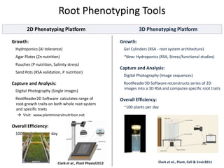 Root Phenotyping Tools
Growth:
Hydroponics (Al tolerance)
Agar Plates (Zn nutrition)
Pouches (P nutrition, Salinity stress)
Sand Pots (RSA validation, P nutrition)
Capture and Analysis:
Digital Photography (Single images)
RootReader2D Software calculates range of
root growth traits on both whole root system
and specific traits
 Visit: www.plantmineralnutrition.net
Overall Efficiency:
1000’s of plants per day
2D Phenotyping Platform 3D Phenotyping Platform
Clark et al., Plant Physiol2012
Growth:
Gel Cylinders (RSA - root system architecture)
*New: Hydroponics (RSA, Stress/functional studies)
Capture and Analysis:
Digital Photography (Image sequences)
RootReader3D Software reconstructs series of 2D
images into a 3D RSA and computes specific root traits
Overall Efficiency:
~100 plants per day
Clark et al., Plant, Cell & Envir2011
 
