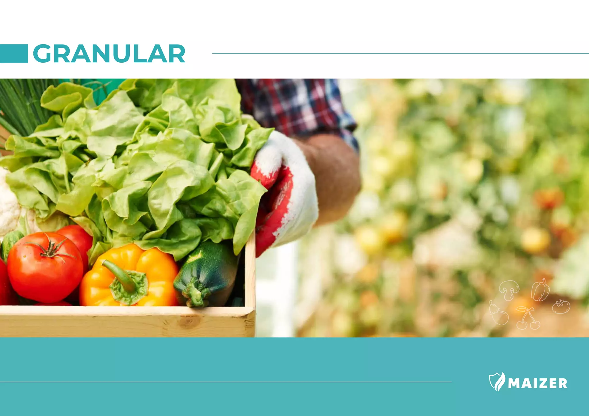 Maizer agriculture Catalog PDF