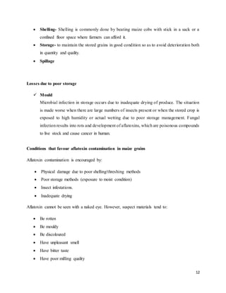  Shelling- Shelling is commonly done by beating maize cobs with stick in a sack or a 
12 
confined floor space where farmers can afford it. 
 Storage- to maintain the stored grains in good condition so as to avoid deterioration both 
in quantity and quality. 
 Spillage 
Losses due to poor storage 
 Mould 
Microbial infection in storage occurs due to inadequate drying of produce. The situation 
is made worse when there are large numbers of insects present or when the stored crop is 
exposed to high humidity or actual wetting due to poor storage management. Fungal 
infection results into rots and development of aflatoxins, which are poisonous compounds 
to live stock and cause cancer in human. 
Conditions that favour aflatoxin contamination in maize grains 
Aflatoxin contamination is encouraged by: 
 Physical damage due to poor shelling/threshing methods 
 Poor storage methods (exposure to moist condition) 
 Insect infestations. 
 Inadequate drying 
Aflatoxin cannot be seen with a naked eye. However, suspect materials tend to: 
 Be rotten 
 Be mouldy 
 Be discoloured 
 Have unpleasant smell 
 Have bitter taste 
 Have poor milling quality 
 