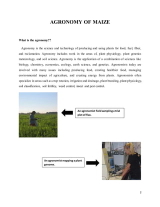 2 
AGRONOMY OF MAIZE 
What is the agronomy?? 
Agronomy is the science and technology of producing and using plants for food, fuel, fiber, 
and reclamation. Agronomy includes work in the areas of, plant physiology, plant genetics 
meteorology, and soil science. Agronomy is the application of a combination of sciences like 
biology, chemistry, economics, ecology, earth science, and genetics. Agronomis ts today are 
involved with many issues including producing food, creating healthier food, managing 
environmental impact of agriculture, and creating energy from plants. Agronomists often 
specialize in areas such as crop rotation, irrigation and drainage, p lant breeding, plant physiology, 
soil classification, soil fertility, weed control, insect and pest control. 
An agronomist field sampling a trial 
plot of flax. 
An agronomist mapping a plant 
genome. 
 
