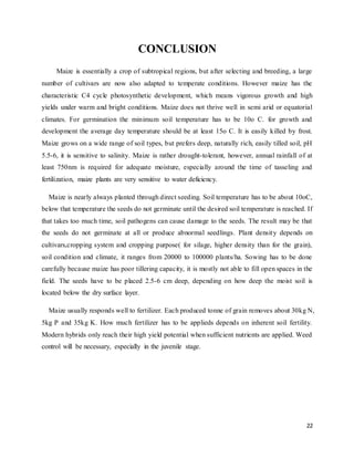 22 
CONCLUSION 
Maize is essentially a crop of subtropical regions, but after selecting and breeding, a large 
number of cultivars are now also adapted to temperate conditions. However maize has the 
characteristic C4 cycle photosynthetic development, which means vigorous growth and high 
yields under warm and bright conditions. Maize does not thrive well in semi arid or equatorial 
climates. For germination the minimum soil temperature has to be 10o C. for growth and 
development the average day temperature should be at least 15o C. It is easily killed by frost. 
Maize grows on a wide range of soil types, but prefers deep, naturally rich, easily tilled soil, pH 
5.5-6, it is sensitive to salinity. Maize is rather drought-tolerant, however, annual rainfall of at 
least 750nm is required for adequate moisture, especially around the time of tasseling and 
fertilization, maize plants are very sensitive to water deficiency. 
Maize is nearly always planted through direct seeding. Soil temperature has to be about 10oC, 
below that temperature the seeds do not germinate until the desired soil temperature is reached. If 
that takes too much time, soil pathogens can cause damage to the seeds. The result may be that 
the seeds do not germinate at all or produce abnormal seedlings. Plant density depends on 
cultivars,cropping system and cropping purpose( for silage, higher density than for the grain), 
soil condition and climate, it ranges from 20000 to 100000 plants/ha. Sowing has to be done 
carefully because maize has poor tillering capacity, it is mostly not able to fill open spaces in the 
field. The seeds have to be placed 2.5-6 cm deep, depending on how deep the moist soil is 
located below the dry surface layer. 
Maize usually responds well to fertilizer. Each produced tonne of grain removes about 30kg N, 
5kg P and 35kg K. How much fertilizer has to be applieds depends on inherent soil fertility. 
Modern hybrids only reach their high yield potential when sufficient nutrients are applied. Weed 
control will be necessary, especially in the juvenile stage. 
 