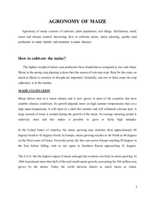 3 
AGRONOMY OF MAIZE 
Agronomy of maize consists of cultivars, plant population, soil tillage, fertilisation, weed, 
insect and disease control, harvesting, how to cultivate maize, maize planting, quality seed 
production in maize hybrids and treatment to maize diseases. 
How to cultivate the maize? 
The highest weight of maize crop production have found that as compared to rice and wheat. 
Maize in the spring crop planting is done that this season of rain may reap. Rain for the crops, so 
much as Maize is sensitive to drought are important. Generally, one two or three crops the crop 
cultivation is in the rotation. 
MAIZE CULTIVATION 
Maize thrives best in a warm climate and is now grown in most of the countries that have 
suitable climatic conditions. Its growth depends more on high summer temperatures than on a 
high mean temperature. It will ripen in a short hot summer and will withstand extreme heat. A 
large amount of water is needed during the growth of the maize. Its average maturing period is 
relatively short and this makes it possible to grow at fairly high latitudes. 
In the United States of America, the maize growing area stretches from approximately 40 
degrees South to 45 degrees North. In Europe, maize growing reaches as far North as 46 degrees 
on the West coast of France. From this point, the line runs across Europe reaching 50 degrees in 
the East before falling, only to rise again in Southern Russia approaching 52 degrees. 
The U.S.A. has the highest output of maize amongst the countries involved in maize growing. In 
1964 it produced more than half of the total world maize growth, accounting for 104 million tons 
grown by the nation. Today the world harvests almost as much maize as wheat. 
 
