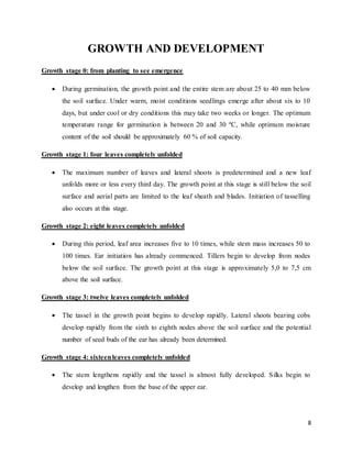 8 
GROWTH AND DEVELOPMENT 
Growth stage 0: from planting to see emergence 
 During germination, the growth point and the entire stem are about 25 to 40 mm below 
the soil surface. Under warm, moist conditions seedlings emerge after about six to 10 
days, but under cool or dry conditions this may take two weeks or longer. The optimum 
temperature range for germination is between 20 and 30 ºC, while optimum moisture 
content of the soil should be approximately 60 % of soil capacity. 
Growth stage 1: four leaves completely unfolded 
 The maximum number of leaves and lateral shoots is predetermined and a new leaf 
unfolds more or less every third day. The growth point at this stage is still below the soil 
surface and aerial parts are limited to the leaf sheath and blades. Initiation of tasselling 
also occurs at this stage. 
Growth stage 2: eight leaves completely unfolded 
 During this period, leaf area increases five to 10 times, while stem mass increases 50 to 
100 times. Ear initiation has already commenced. Tillers begin to develop from nodes 
below the soil surface. The growth point at this stage is approximately 5,0 to 7,5 cm 
above the soil surface. 
Growth stage 3: twelve leaves completely unfolded 
 The tassel in the growth point begins to develop rapidly. Lateral shoots bearing cobs 
develop rapidly from the sixth to eighth nodes above the soil surface and the potential 
number of seed buds of the ear has already been determined. 
Growth stage 4: sixteen leaves completely unfolded 
 The stem lengthens rapidly and the tassel is almost fully developed. Silks begin to 
develop and lengthen from the base of the upper ear. 
 