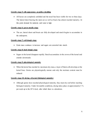 9 
Growth stage 5: silk appearance an pollen shedding 
 All leaves are completely unfolded and the tassel has been visible for two to three days. 
The lateral shoot bearing the main ear as well as bracts has almost reached maturity. At 
this point demand for nutrients and water is high. 
Growth stage 6: green mealie stage 
 The ear, lateral shoot and bracts are fully developed and starch begins to accumulate in 
the endosperm. 
Growth stage 7: soft dough stage 
 Grain mass continues to increase and sugars are converted into starch. 
Growth stage 8: hard dough stage 
 Sugars in the kernel disappear rapidly. Starch accumulates in the crown of the kernel and 
extends downwards. 
Growth stage 9: physiological maturity 
 When the kernel has reached its maximum dry mass, a layer of black cells develops at the 
kernel base. Grains are physiologically mature and only the moisture content must be 
reduced. 
Growth stage 10: drying of kernel (biological maturity) 
 Although grains have reached physiological maturity, they must dry out before reaching 
biological maturity. Under favourable conditions, drying takes place at approximately 5 % 
per week up to the 20 % level, after which there is a slowdown. 
 