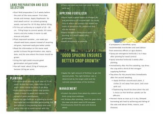 Maize :Good Agricultural practices