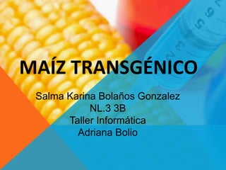 MAÍZ TRANSGÉNICO
Salma Karina Bolaños Gonzalez
NL.3 3B
Taller Informática
Adriana Bolio
 