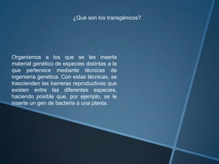 Organismos a los que se les inserta
material genético de especies distintas a la
que pertenece mediante técnicas de
ingeniería genética. Con estas técnicas, se
trascienden las barreras reproductivas que
existen entre las diferentes especies,
haciendo posible que, por ejemplo, se le
inserte un gen de bacteria a una planta.
¿Qué son los transgénicos?
 