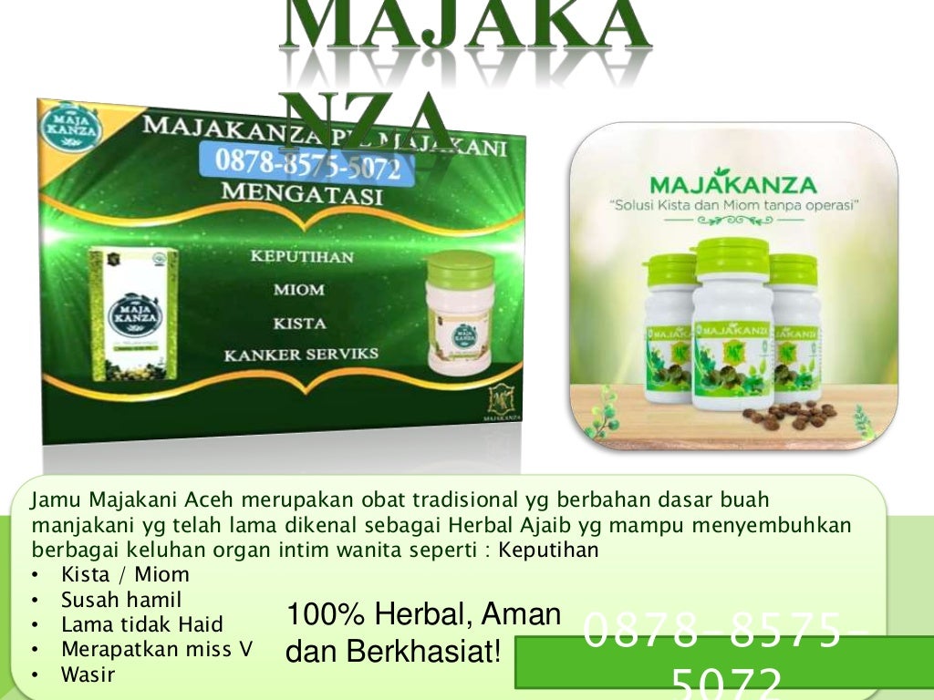 khasiat manjakani untuk lelaki