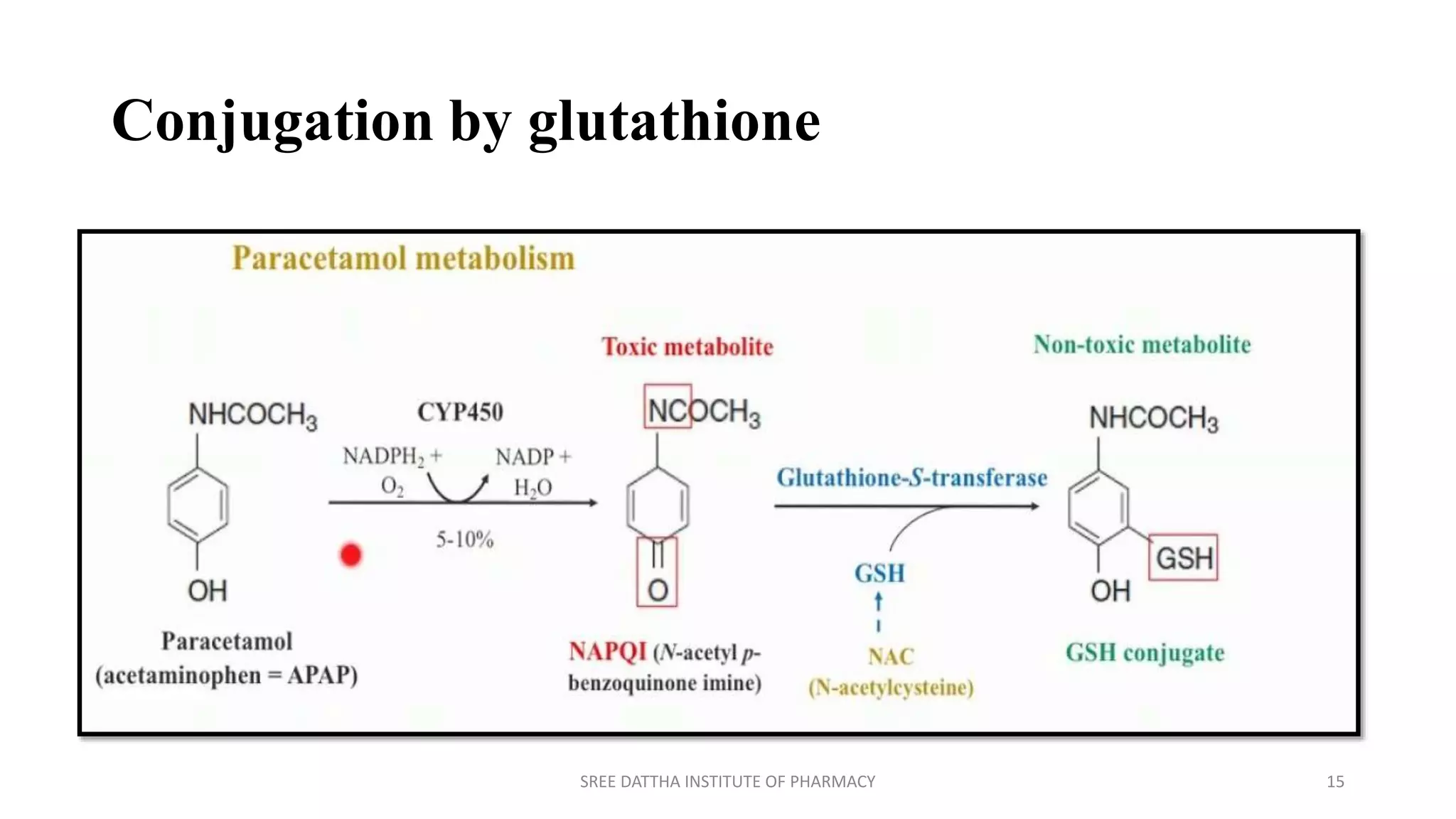 conjugation phase glutathione phase Drug metabolism Majeed(phase ii metabolism) | PPTX