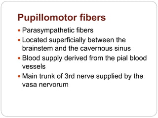 Pupillomotor fibers
 Parasympathetic fibers
 Located superficially between the
brainstem and the cavernous sinus
 Blood supply derived from the pial blood
vessels
 Main trunk of 3rd nerve supplied by the
vasa nervorum
 