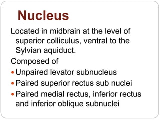 Nucleus
Located in midbrain at the level of
superior colliculus, ventral to the
Sylvian aquiduct.
Composed of
 Unpaired levator subnucleus
 Paired superior rectus sub nuclei
 Paired medial rectus, inferior rectus
and inferior oblique subnuclei
 