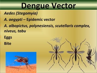 Dengue Vector
 Aedes (Stegomyia)
 A. aegypti – Epidemic vector
 A. albopictus, polynesiensis, scutellaris complex,
niveus, tabu
 Eggs
 Bite
 