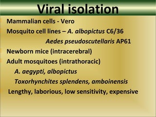Viral isolation
 Mammalian cells - Vero
 Mosquito cell lines – A. albopictus C6/36
Aedes pseudoscutellaris AP61
 Newborn mice (intracerebral)
 Adult mosquitoes (intrathoracic)
A. aegypti, albopictus
Toxorhynchites splendens, amboinensis
 Lengthy, laborious, low sensitivity, expensive
 