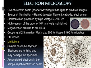 ELECTRON MICROSCOPY
 Use of electron beam (shorter wavelength than light) to produce images
 Source of illumination – Heated tungsten filament, cathode, electron gun
 Electron cloud propelled by high volatge 50-100 kV
 High vacuum of the order of 10-6 mm Hg is maintained
 Magnification 10000X to 100000X
 Copper grid 2-3 mm dia - Mesh size 200 for tissue & 400 for microbes
 EM lenses
 Limitations
 Sample has to be dry/dead
 Electrons are ionizing and
may damage the specimen
 Accumulated electrons in the
sample repel electrons in beam
 