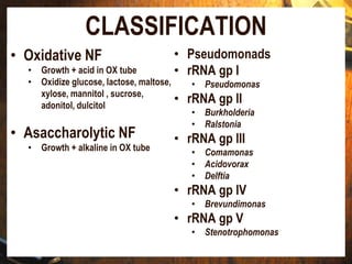 CLASSIFICATION
• Oxidative NF
• Growth + acid in OX tube
• Oxidize glucose, lactose, maltose,
xylose, mannitol , sucrose,
adonitol, dulcitol
• Asaccharolytic NF
• Growth + alkaline in OX tube
• Pseudomonads
• rRNA gp I
• Pseudomonas
• rRNA gp II
• Burkholderia
• Ralstonia
• rRNA gp III
• Comamonas
• Acidovorax
• Delftia
• rRNA gp IV
• Brevundimonas
• rRNA gp V
• Stenotrophomonas
 