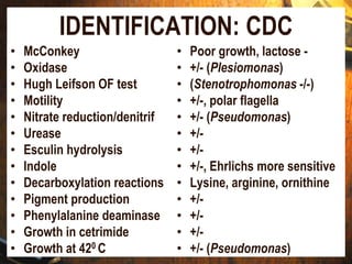 IDENTIFICATION: CDC
• McConkey
• Oxidase
• Hugh Leifson OF test
• Motility
• Nitrate reduction/denitrif
• Urease
• Esculin hydrolysis
• Indole
• Decarboxylation reactions
• Pigment production
• Phenylalanine deaminase
• Growth in cetrimide
• Growth at 420 C
• Poor growth, lactose -
• +/- (Plesiomonas)
• (Stenotrophomonas -/-)
• +/-, polar flagella
• +/- (Pseudomonas)
• +/-
• +/-
• +/-, Ehrlichs more sensitive
• Lysine, arginine, ornithine
• +/-
• +/-
• +/-
• +/- (Pseudomonas)
 