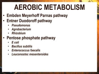 AEROBIC METABOLISM
• Embden Meyerhoff Parnas pathway
• Entner Duodoroff pathway
• Pseudomonas
• Agrobacterium
• Rhizobium
• Pentose phosphate pathway
• E coli
• Bacillus subtilis
• Enterococcus faecalis
• Leuconostoc mesenteroides
 